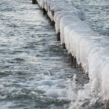 Reetgedecktes Fh Am Deich 21 Διαμέρισμα *