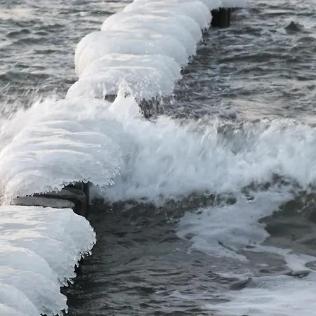 Διαμέρισμα Reetgedecktes Fh Am Deich 21 *