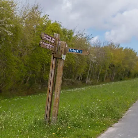 Reetgedecktes Fh Am Deich 21 Διαμέρισμα *