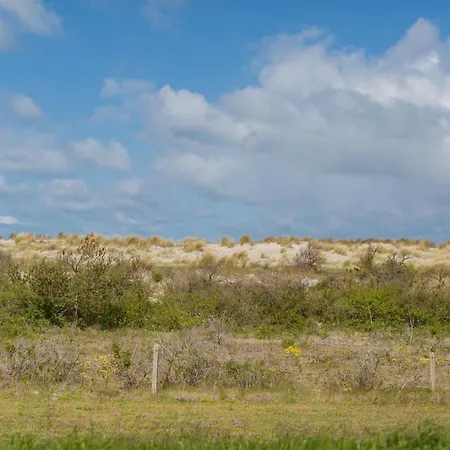 Reetgedecktes Fh Am Deich 21 Διαμέρισμα Wustrow (Fischland)