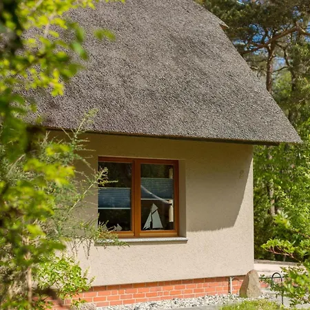 Reetgedecktes Fh Am Deich 21 Διαμέρισμα *